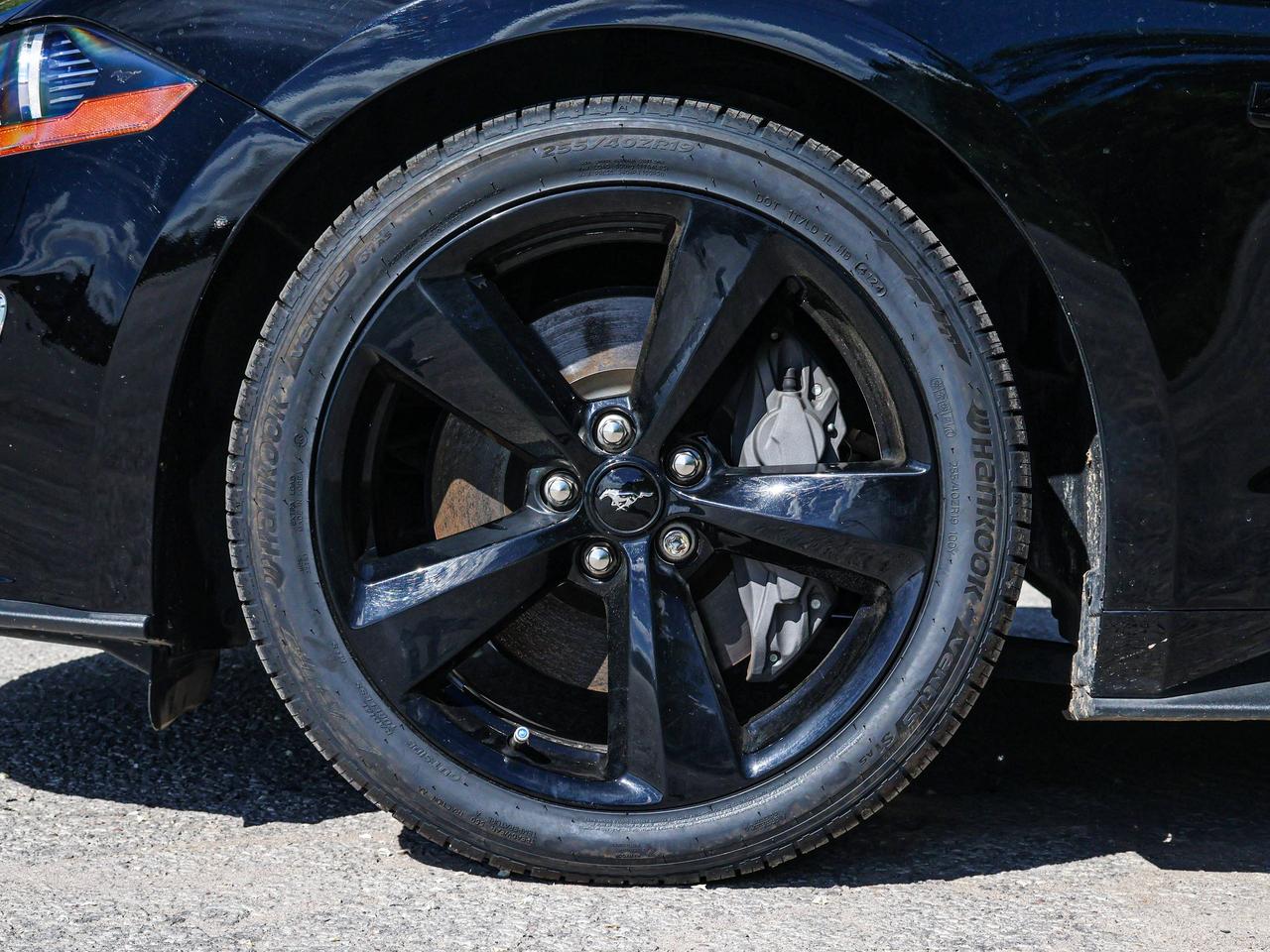 2022 Ford Mustang GT Photo