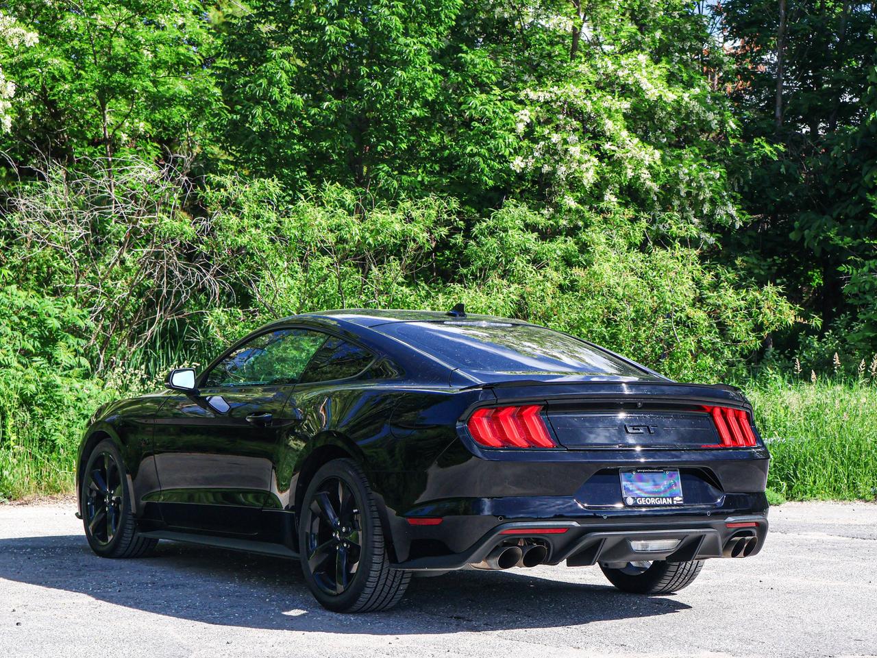 2022 Ford Mustang GT Photo