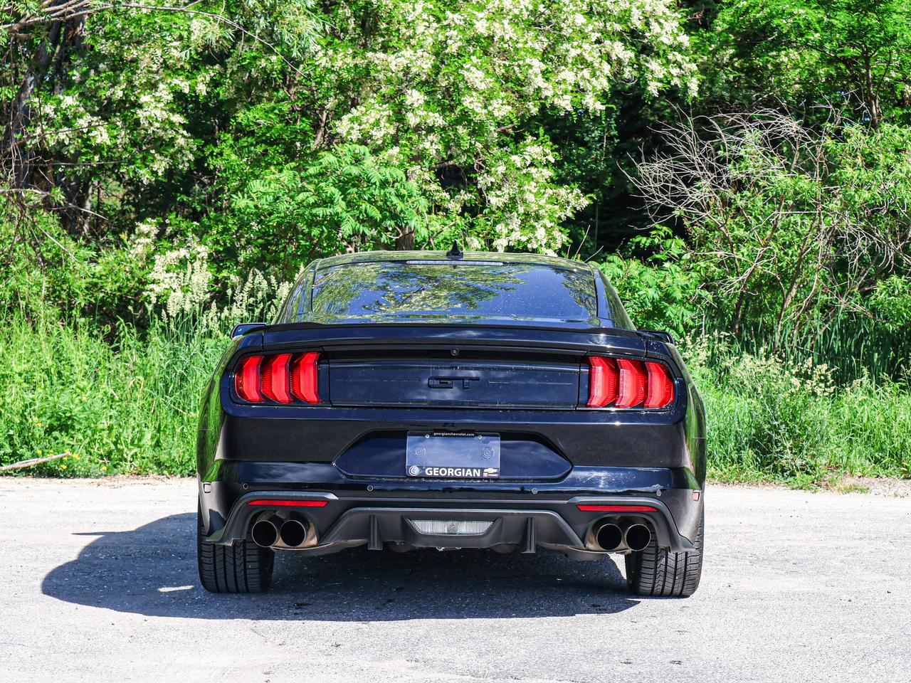 2022 Ford Mustang GT Photo