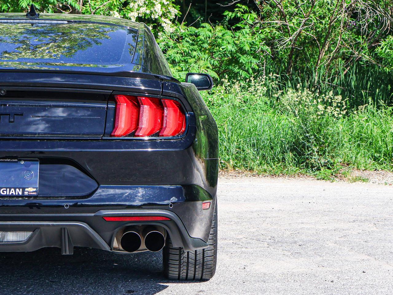 2022 Ford Mustang GT Photo