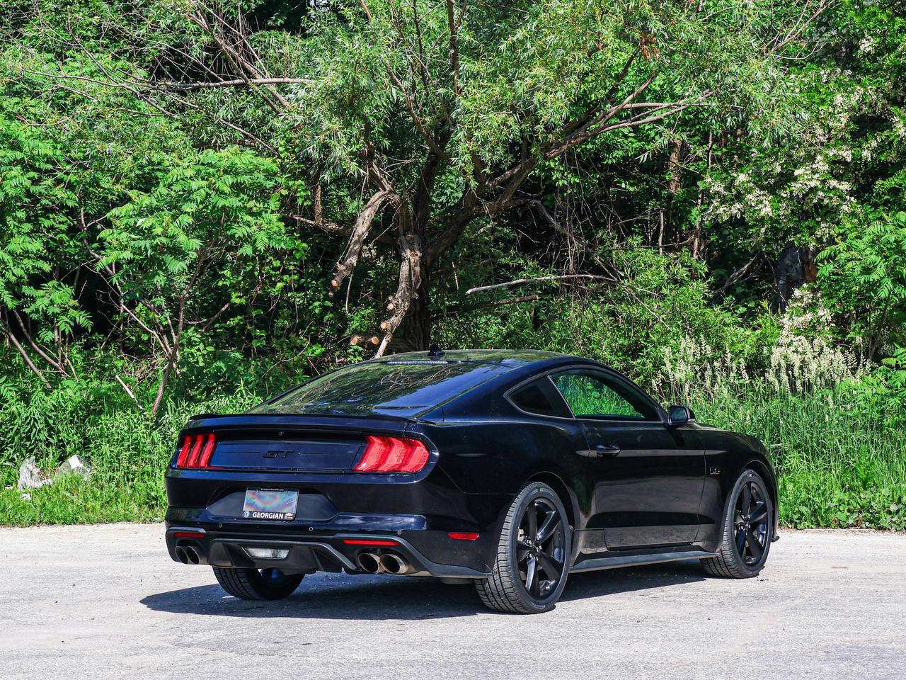 2022 Ford Mustang GT Photo