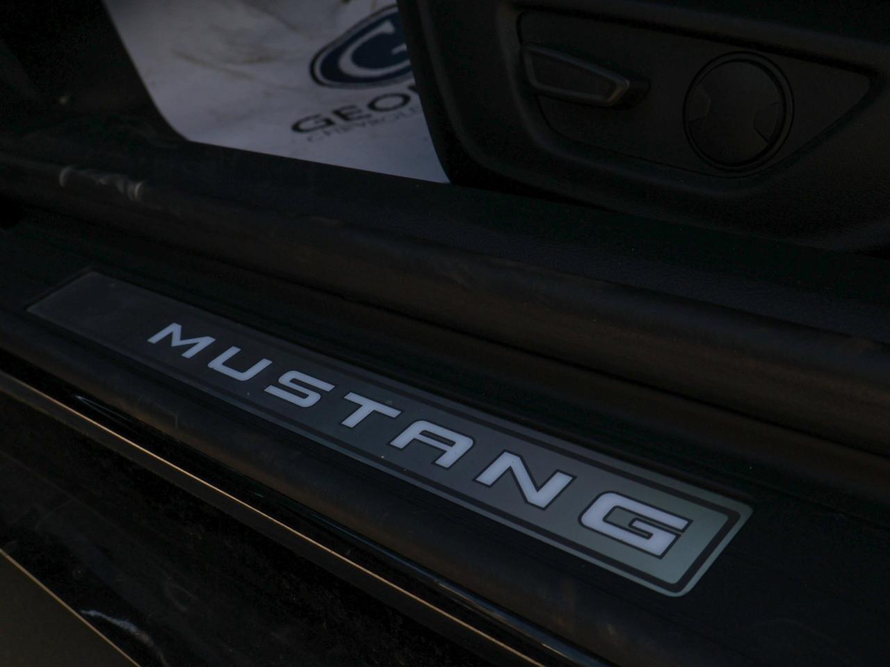 2022 Ford Mustang GT Photo