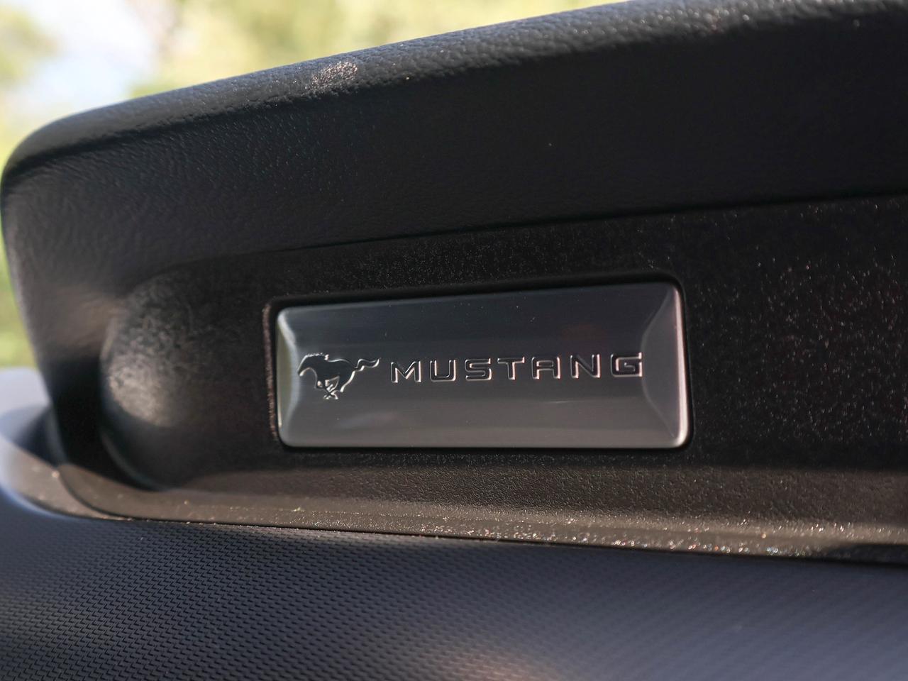 2022 Ford Mustang GT Photo