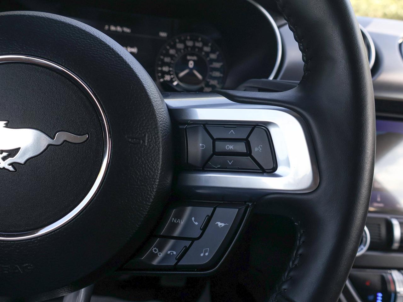 2022 Ford Mustang GT Photo