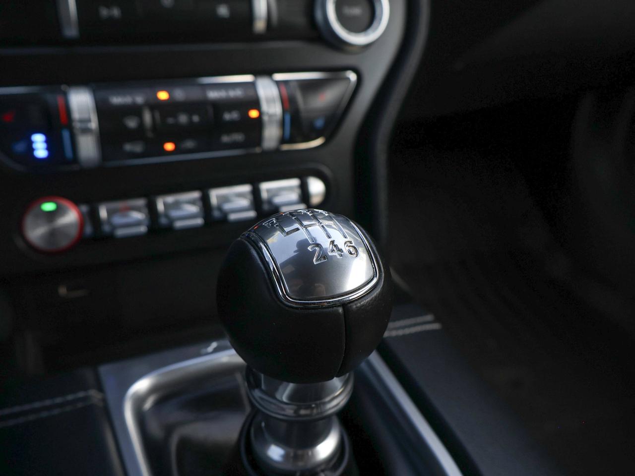 2022 Ford Mustang GT Photo