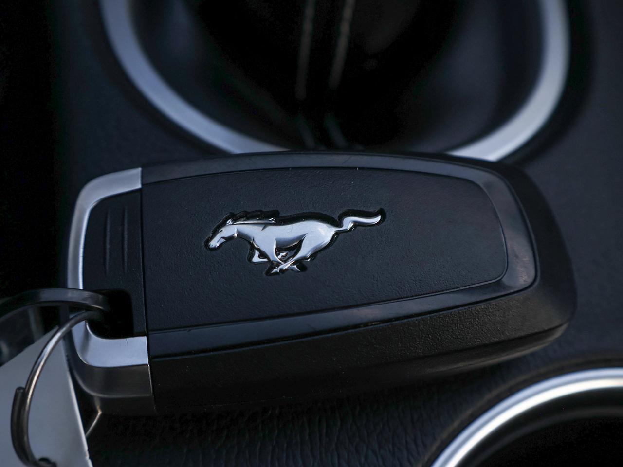 2022 Ford Mustang GT Photo