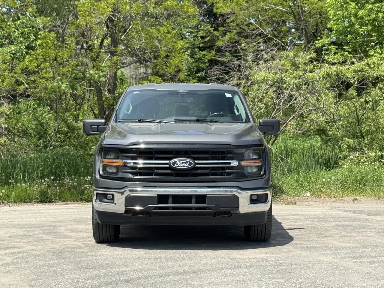 2024 Ford F-150 XLT Photo