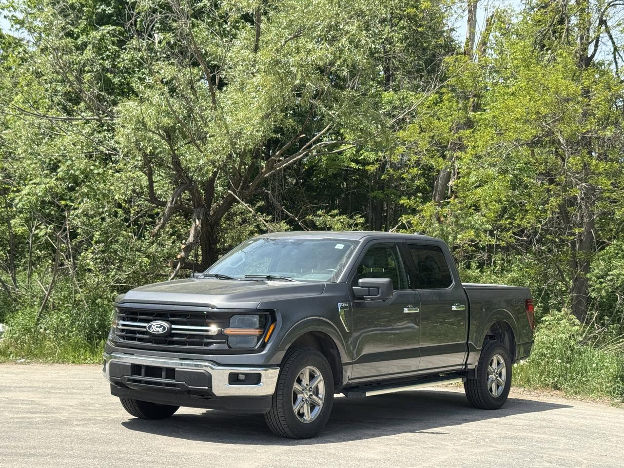 2024 Ford F-150 XLT Photo