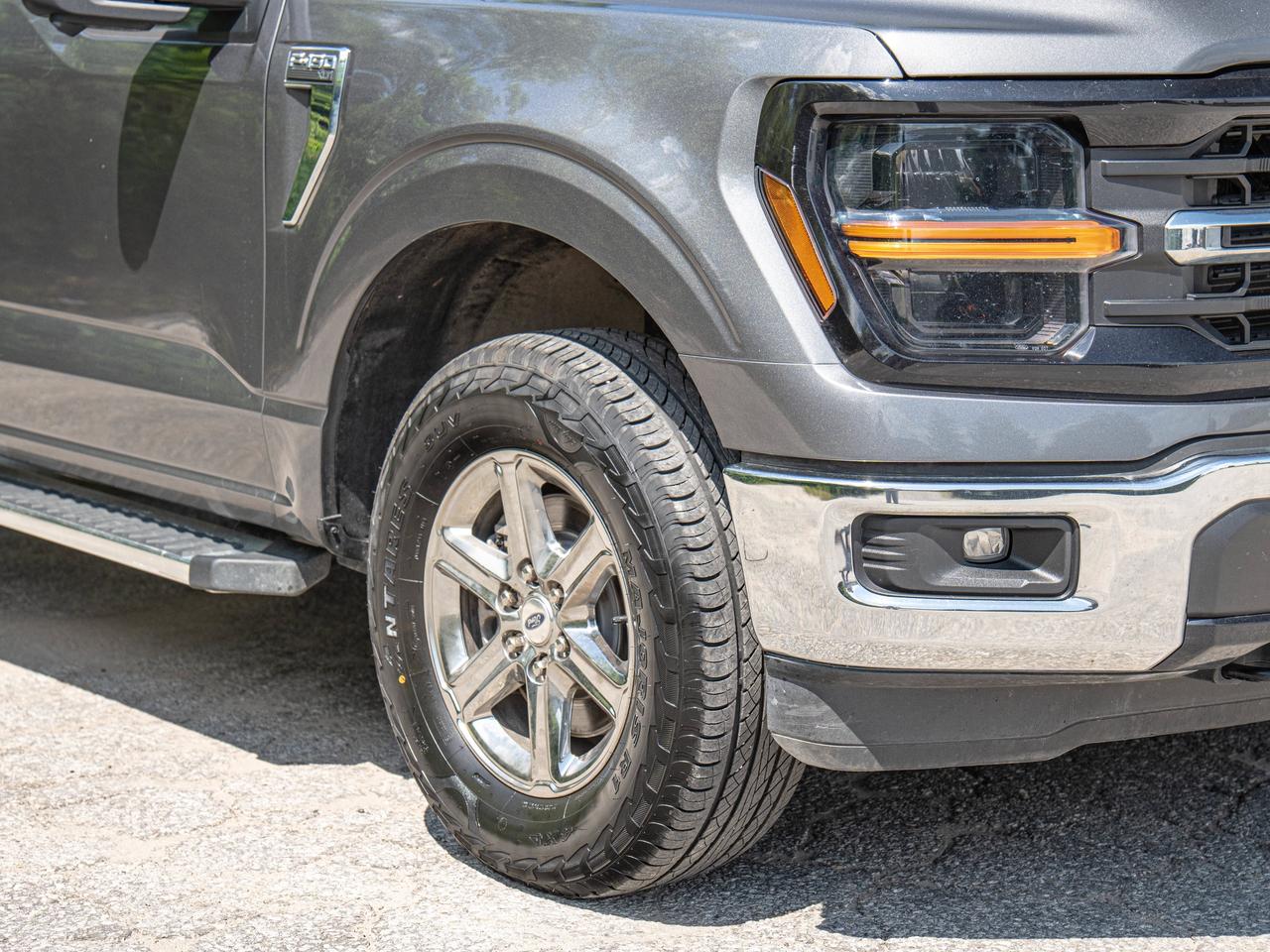 2024 Ford F-150 XLT Photo