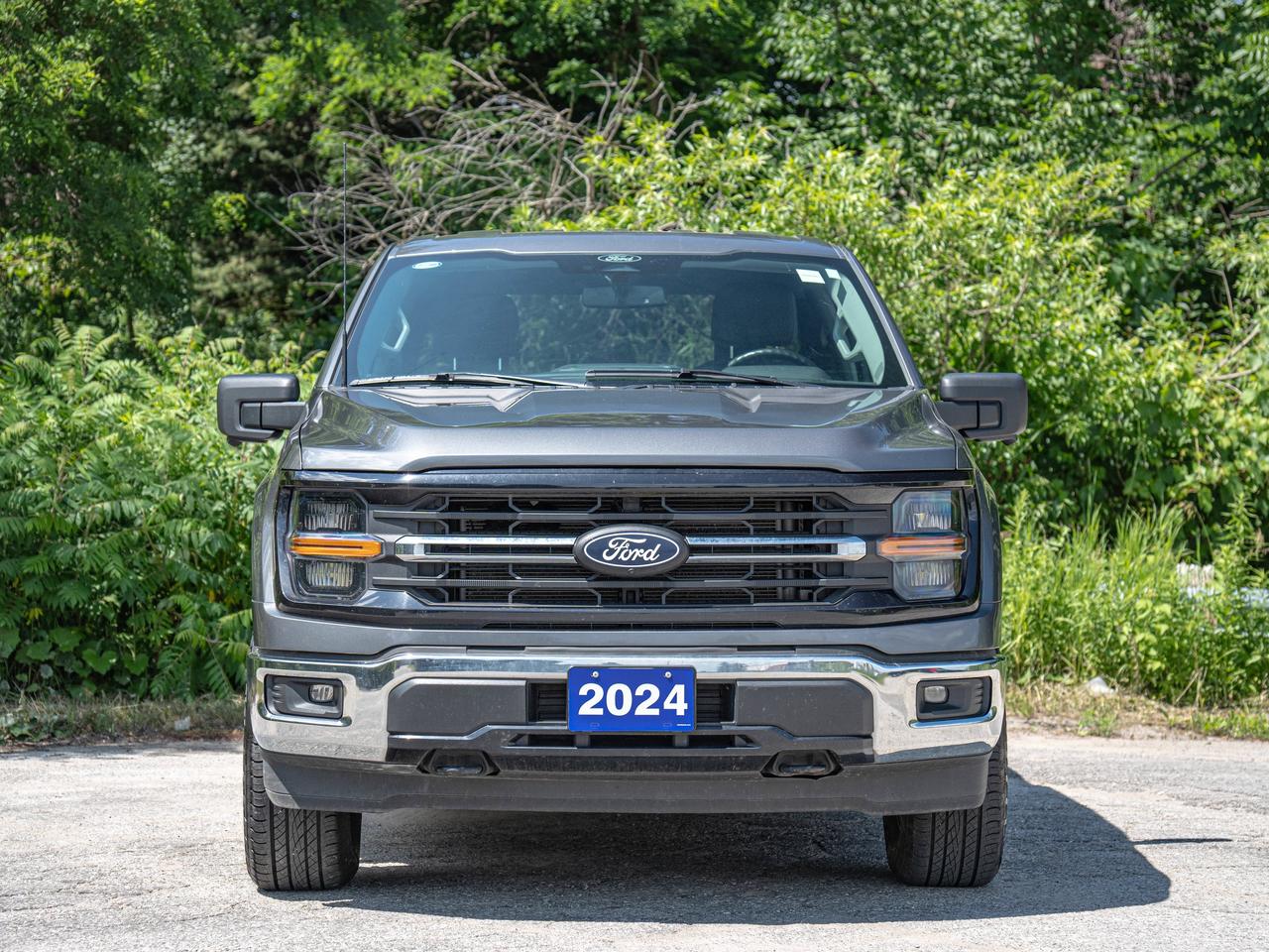 2024 Ford F-150 XLT Photo