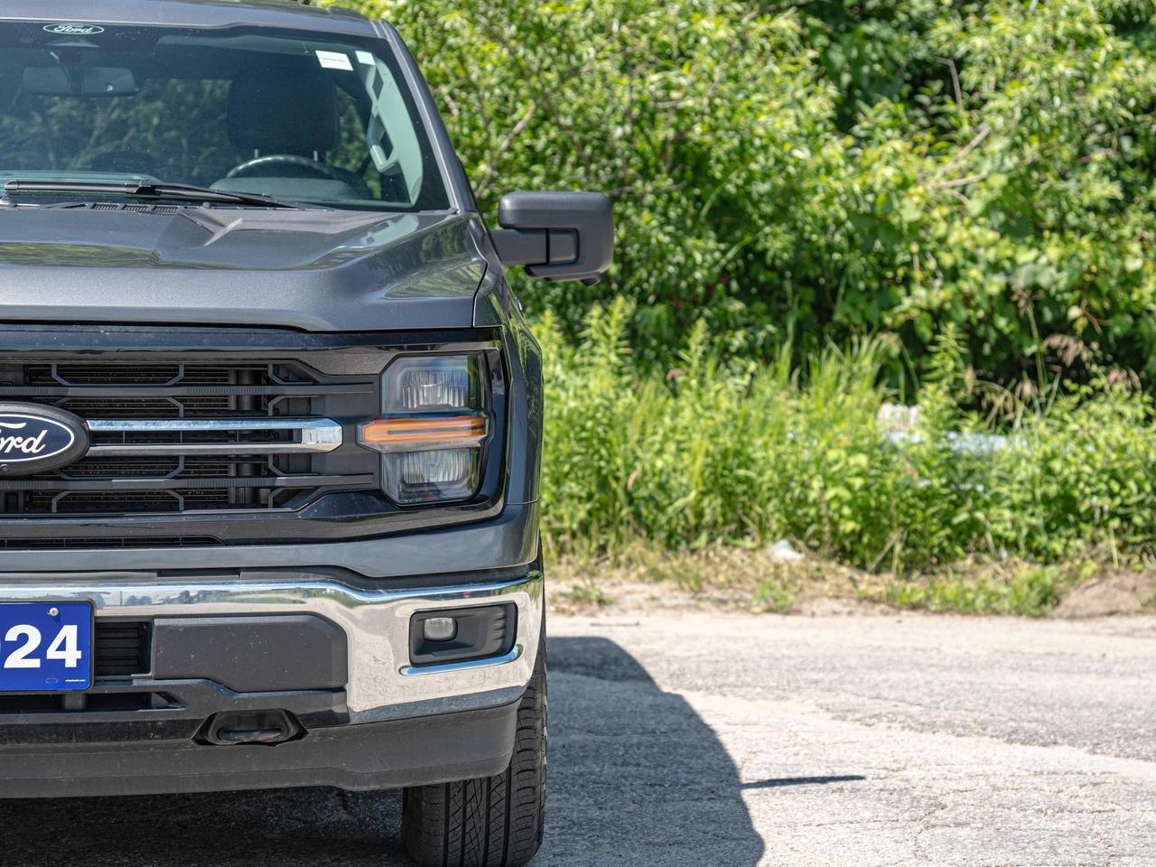 2024 Ford F-150 XLT Photo