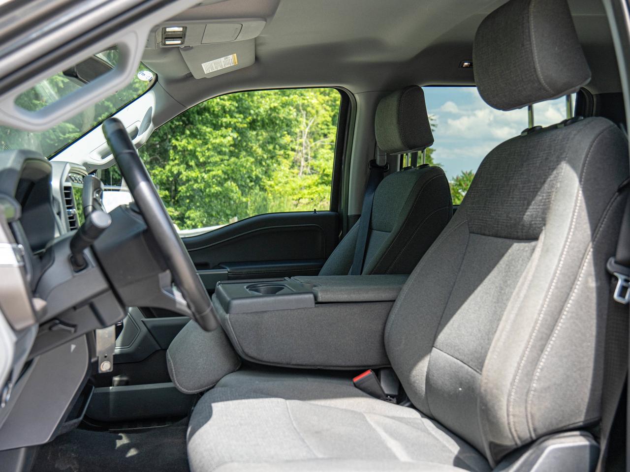 2024 Ford F-150 XLT Photo