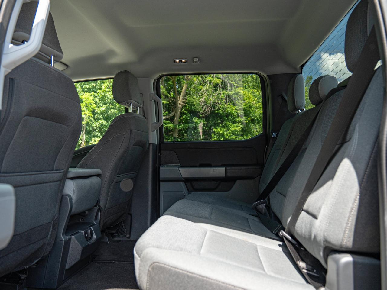 2024 Ford F-150 XLT Photo