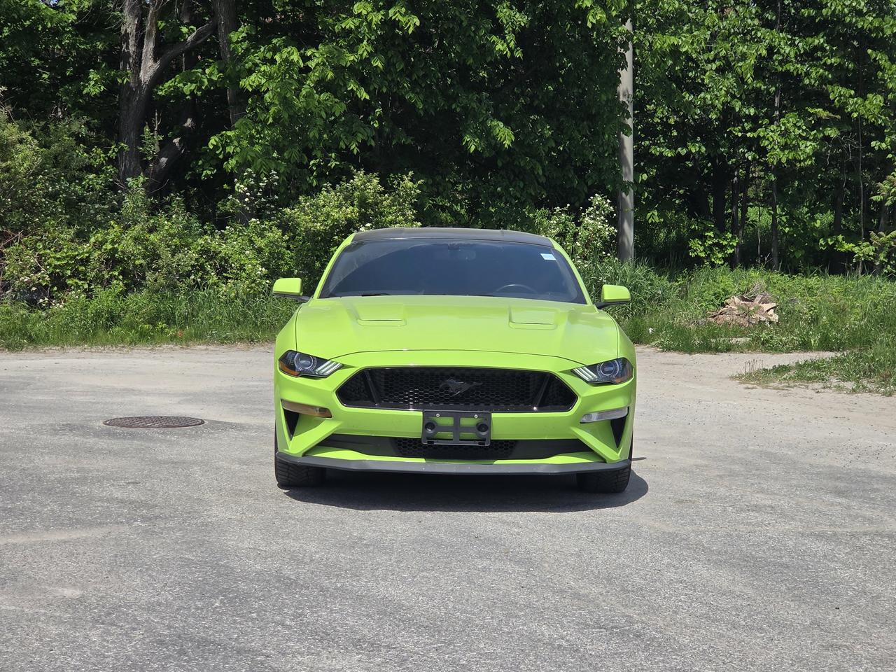 2020 Ford Mustang GT Photo
