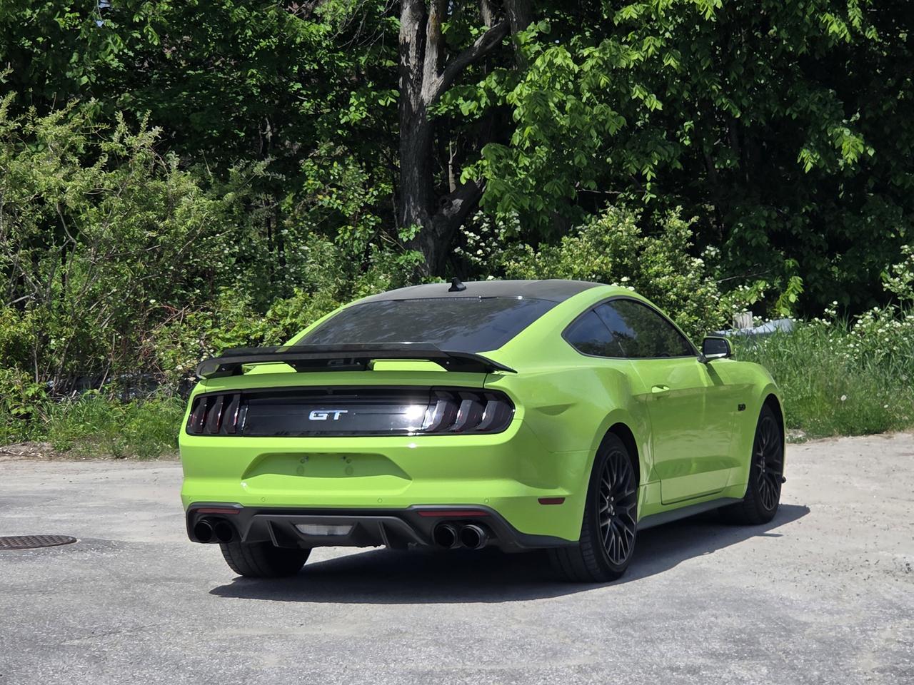 2020 Ford Mustang GT Photo