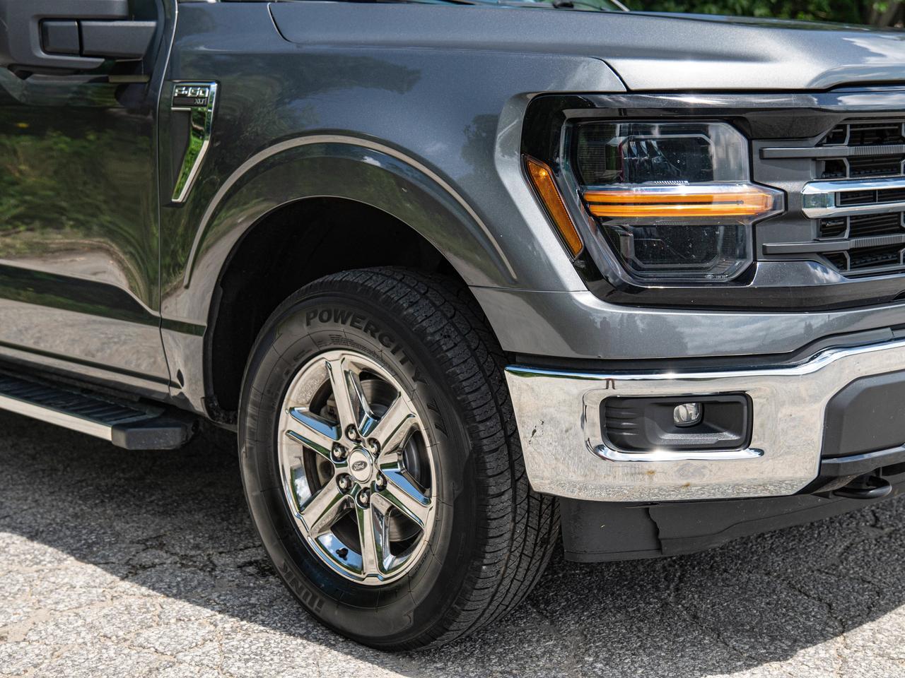2024 Ford F-150 XLT Photo