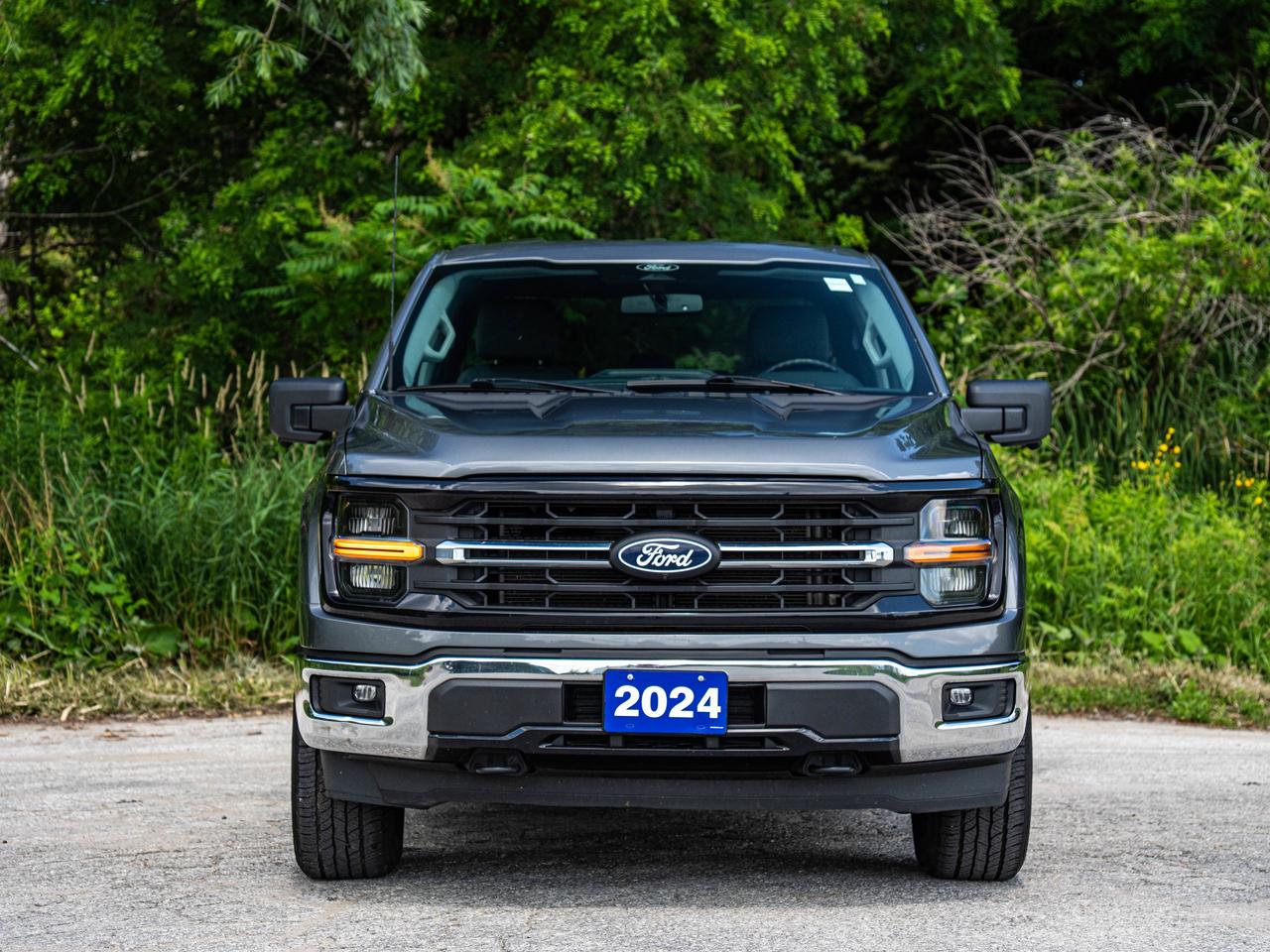 2024 Ford F-150 XLT Photo