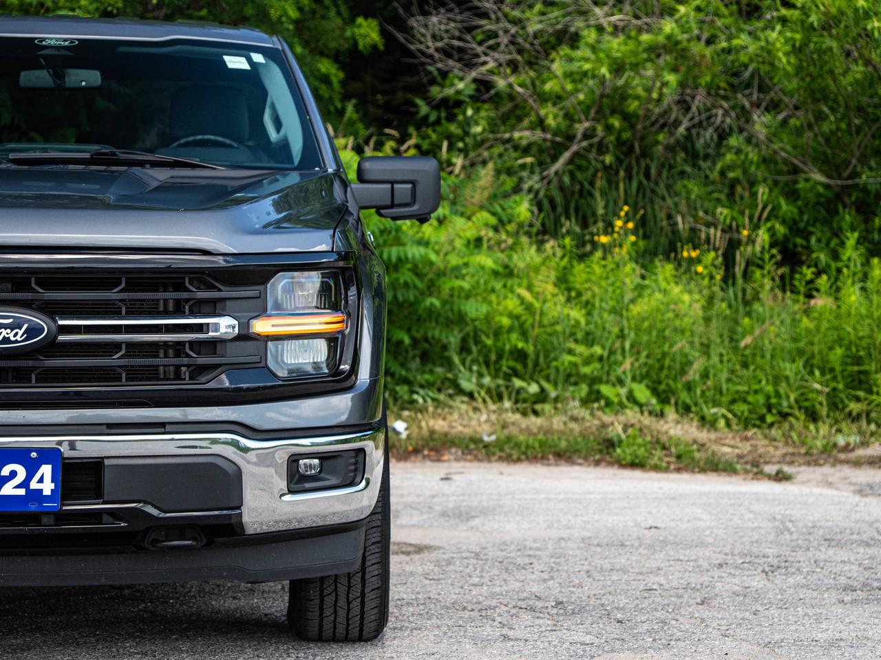 2024 Ford F-150 XLT Photo