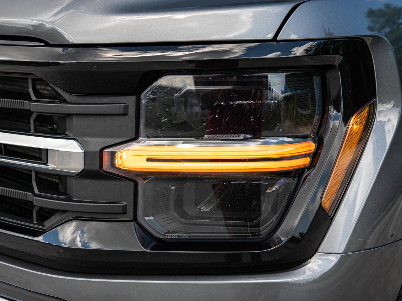 2024 Ford F-150 XLT Photo