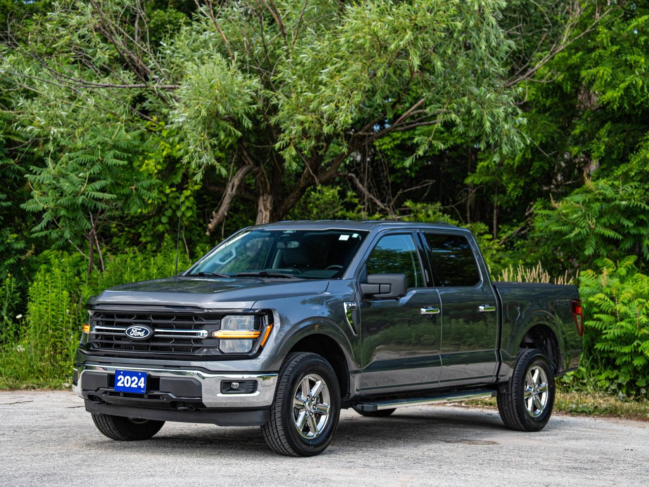 2024 Ford F-150 XLT Photo