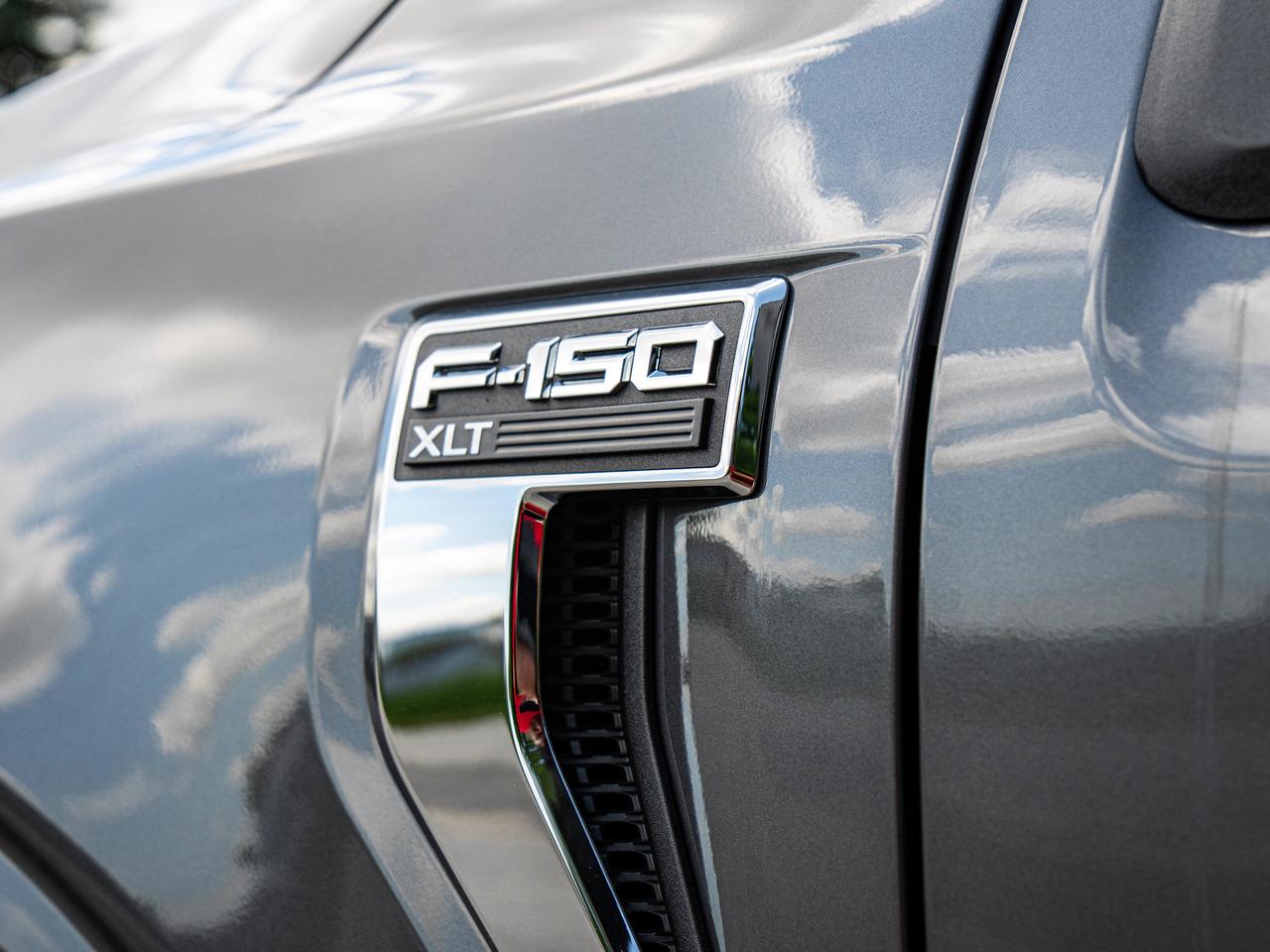 2024 Ford F-150 XLT Photo