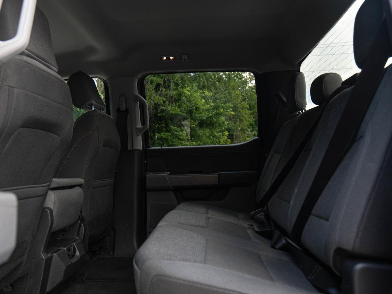 2024 Ford F-150 XLT Photo