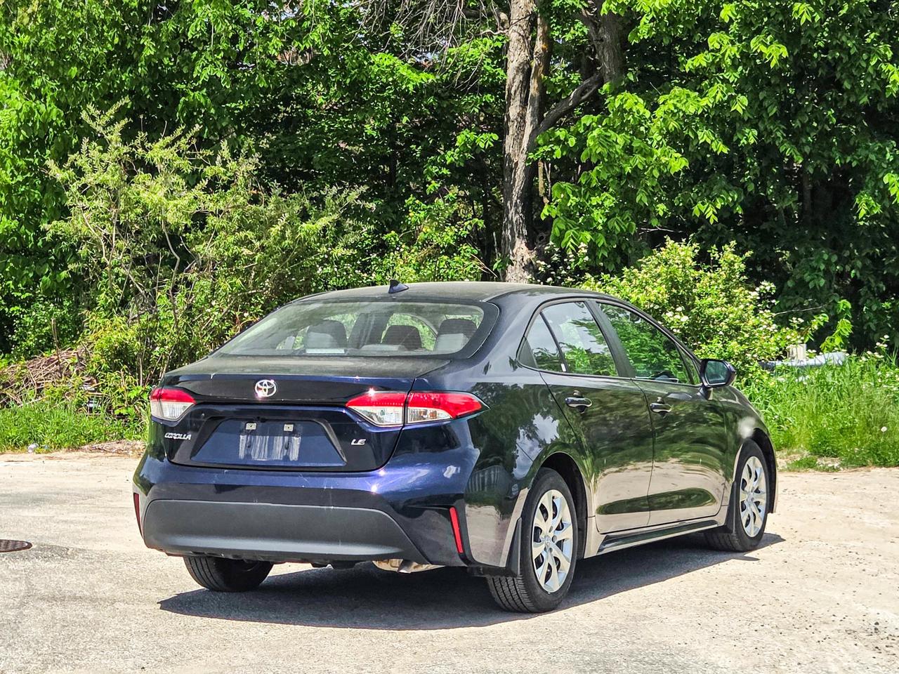 2025 Toyota Corolla LE Photo