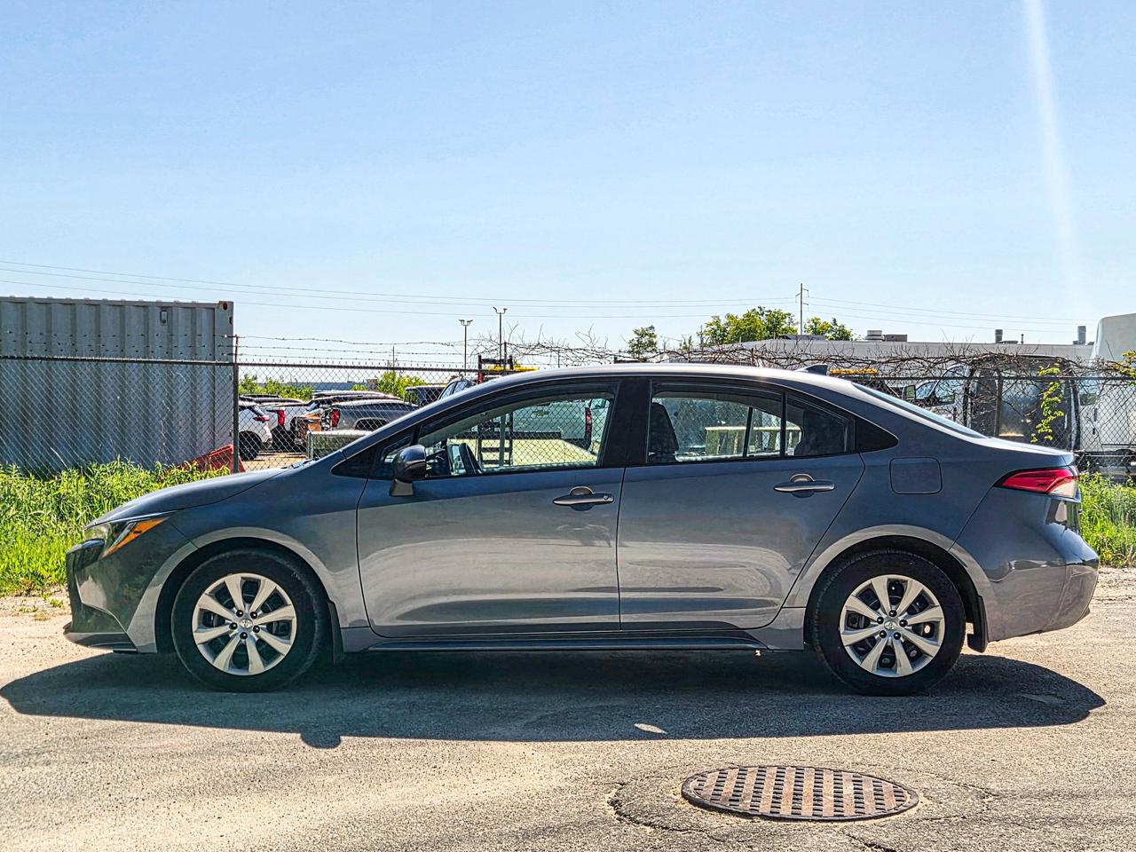 2025 Toyota Corolla LE Photo
