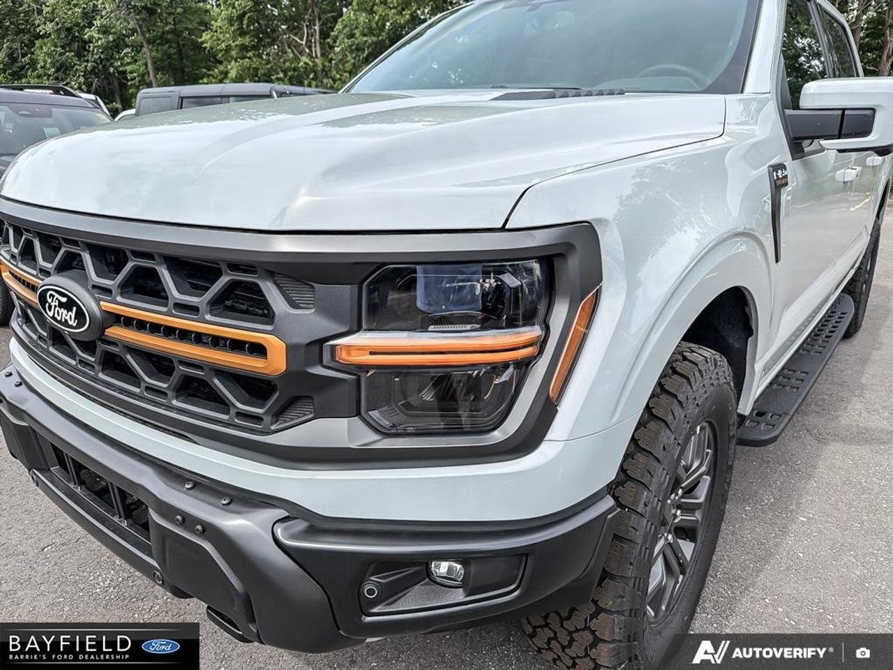 2026 Ford F-150 Tremor Photo
