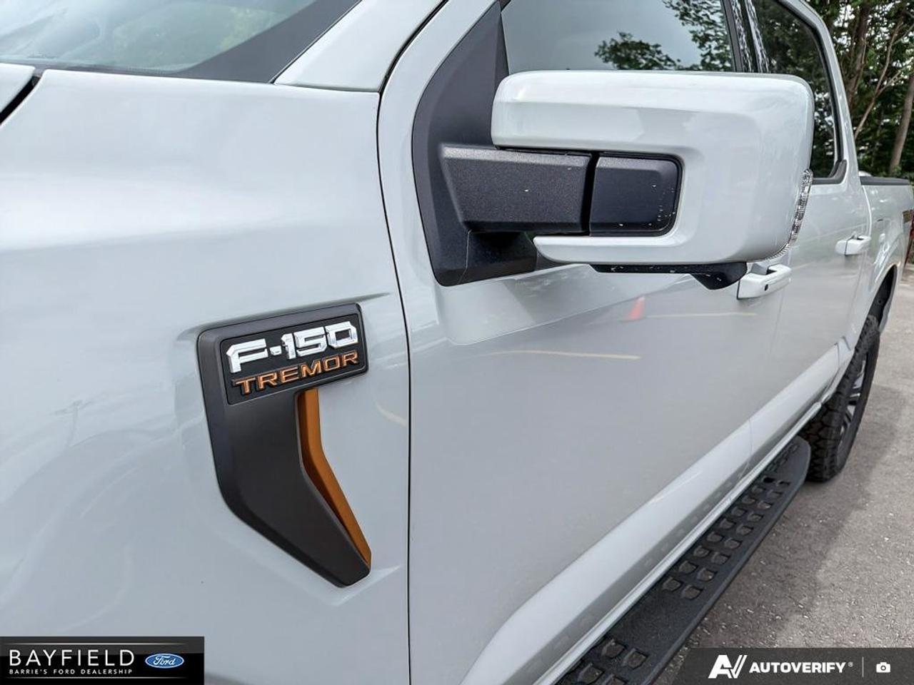 2026 Ford F-150 Tremor Photo