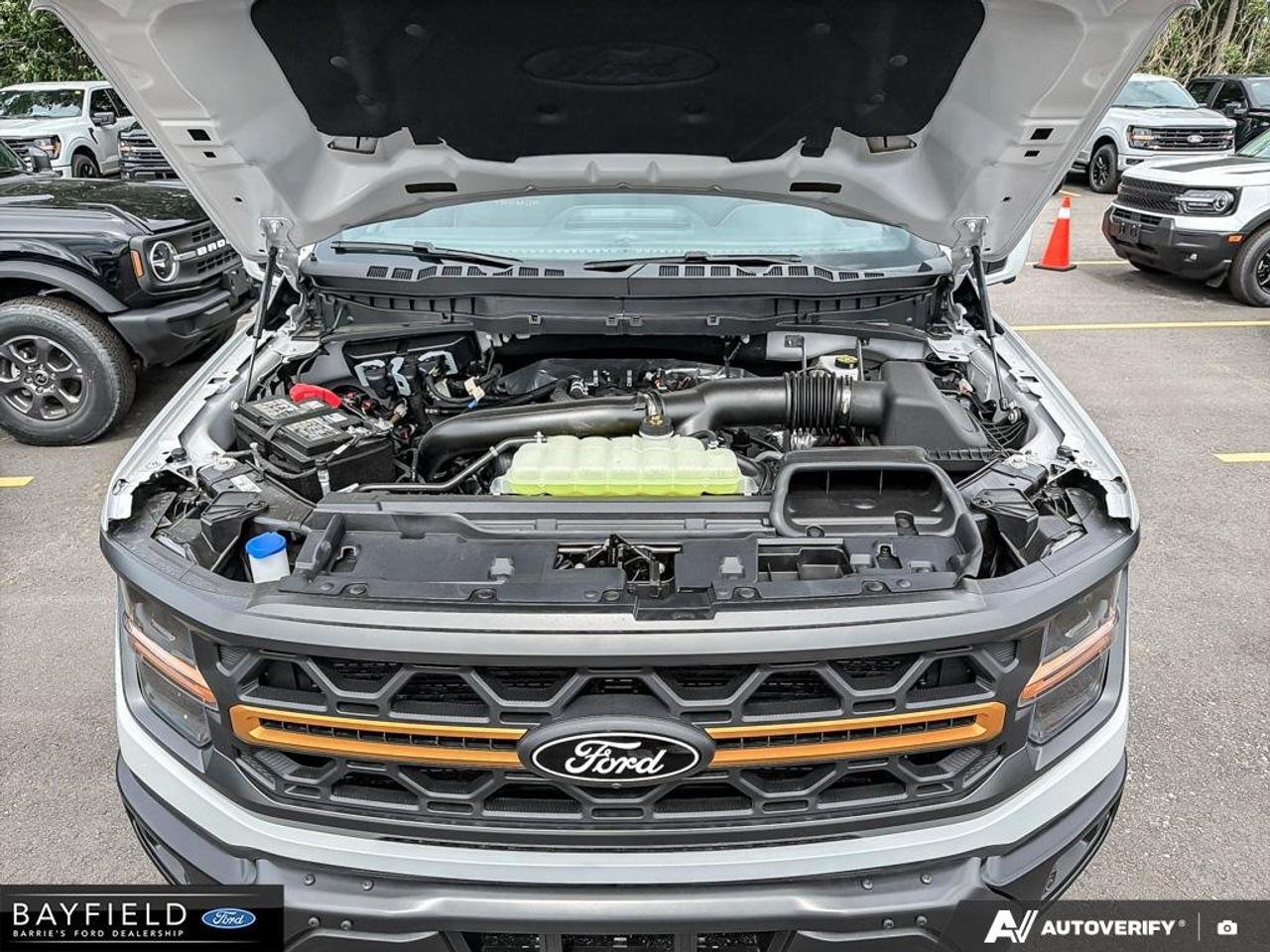 2026 Ford F-150 Tremor Photo