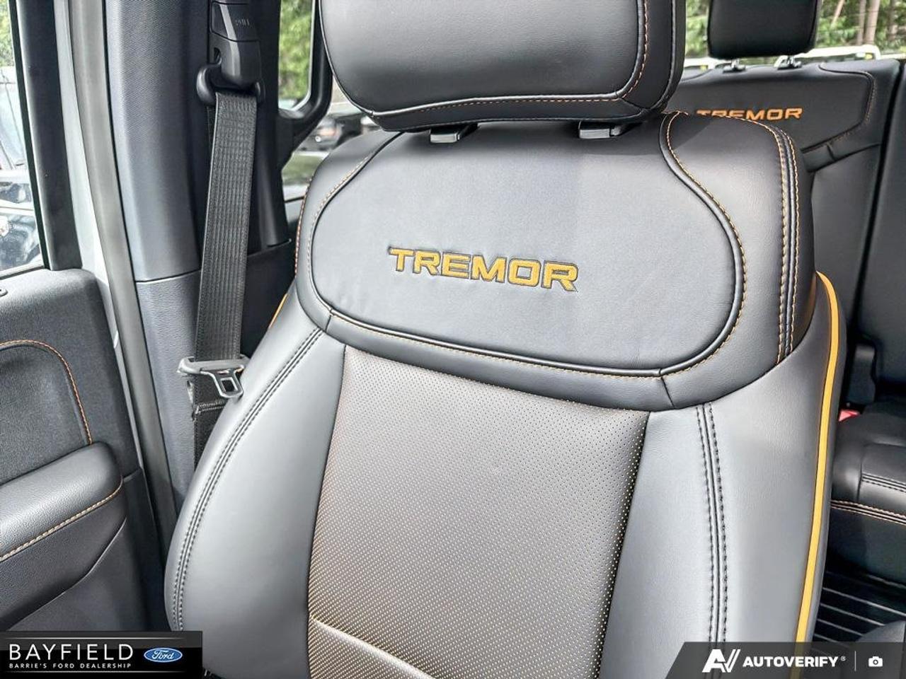 2026 Ford F-150 Tremor Photo