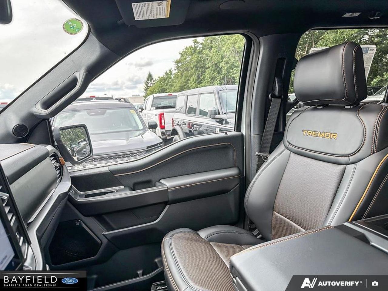 2026 Ford F-150 Tremor Photo