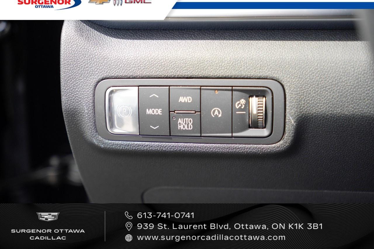2026 GMC Terrain AWD Elevation Photo
