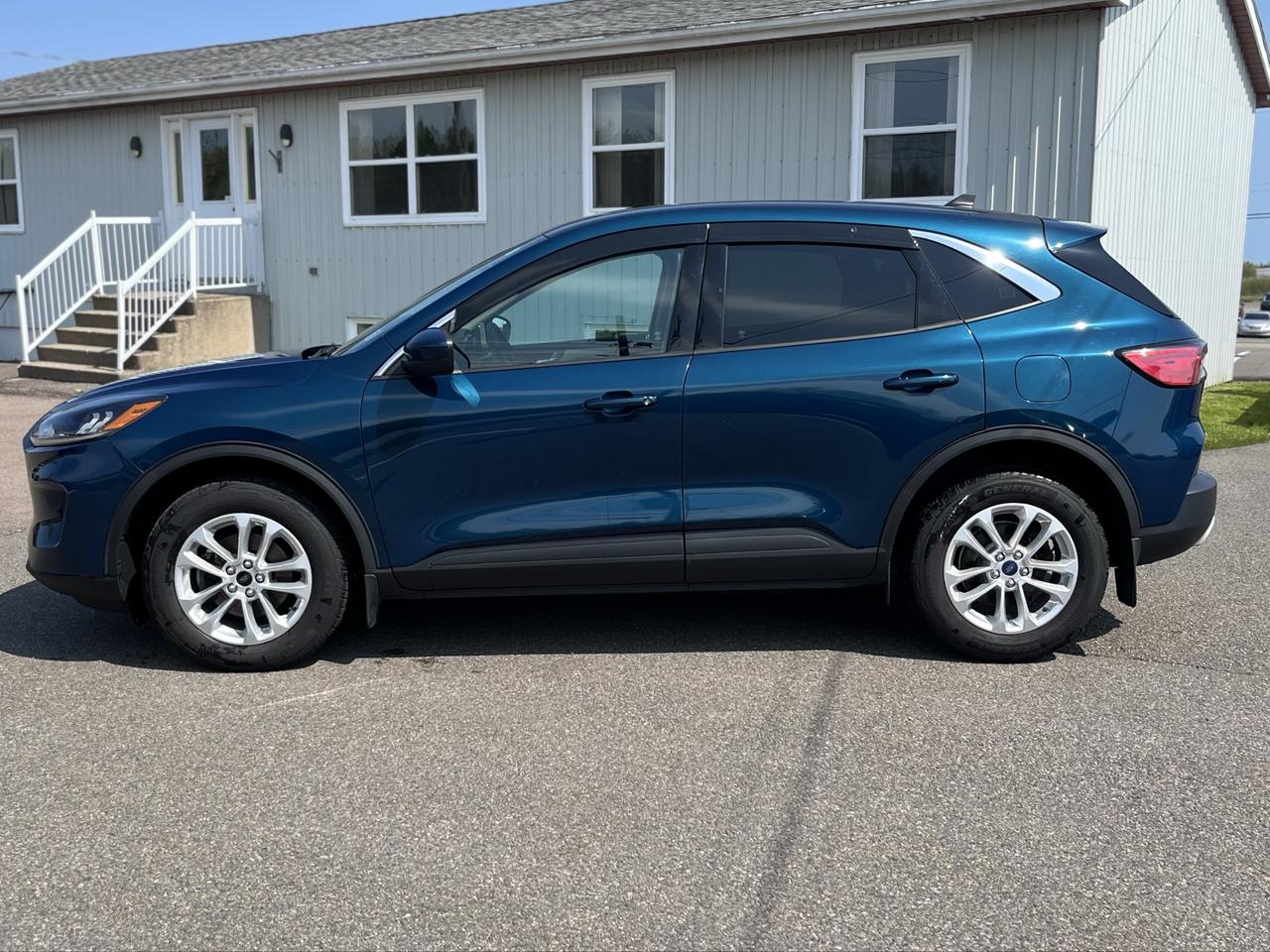 2020 Ford Escape SE Photo3