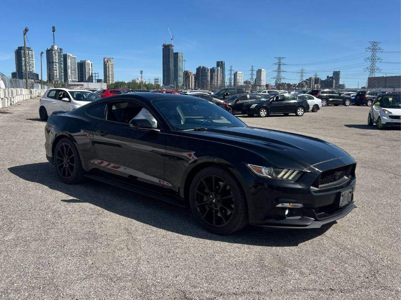 <p>**THIS VEHICLE COMES FULLY CERTIFIED WITH A SAFETY CERTIFICATE & SERVICED AT NO EXTRA COST**</p><br><p>**$0 DOWN...PRIME RATE FINANCING APPROVALS**o.a.c.</p><br><p>WE CAN FINANCE INTERNATIONAL STUDENTS, NEW IMMIGRANTS, WORK PERMITS, #9 SIN, AND PR RESIDENTS!</p><p>CHECK OUT THIS WILD BLACK STALLION!</p><p>Turn heads and feel the power in this <strong>2016 Ford Mustang GT Fastback</strong> with a AUTOMATIC TRANSMISSION&nbsp;AND PADDLE SHIFTING!!&nbsp;Built for true driving enthusiasts. Under the hood sits the legendary <strong>5.0L Coyote V8</strong>, delivering raw performance!! FULLY LAODED!! JET BLACK ON BLACK LEATHER!!&nbsp;NAVIGATION, CAMERA, HEATED AND COOLED SEATS! REMOTE AND PUSH BUTTON START! KEYLESS ENTRY!&nbsp;&nbsp;<strong>19-inch blacked-out wheels</strong>, and a sleek <strong>rear spoiler</strong>, giving it a planted stance and unmistakable street presence.&nbsp;Clean, muscular, and unapologetically American, this Mustang GT blends modern tech with classic V8 muscleready to be driven, heard, and admired.</p><p><br></p><p>#BEST DEAL IN TOWN! WHY PAY MORE ANYWHERE ELSE?</p><br><p>FINANCING & EXTENDED WARRANTIES AVAILABLE ON ALL VEHICLES!</p><br><p>COLISEUM AUTO SALES ON WESTON</p><p>301 WESTON ROAD</p><p>TORONTO, ON M6N 3P1</p><br><p>4 1 6 - 7 6 6 - 2 2 7 7</p>