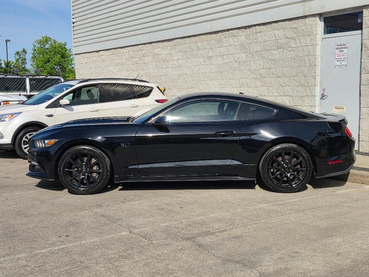 2016 Ford Mustang GT 5.0L V8 LEATHER-NAVI-CAMERA-REMOTE START-AUTO!! Photo