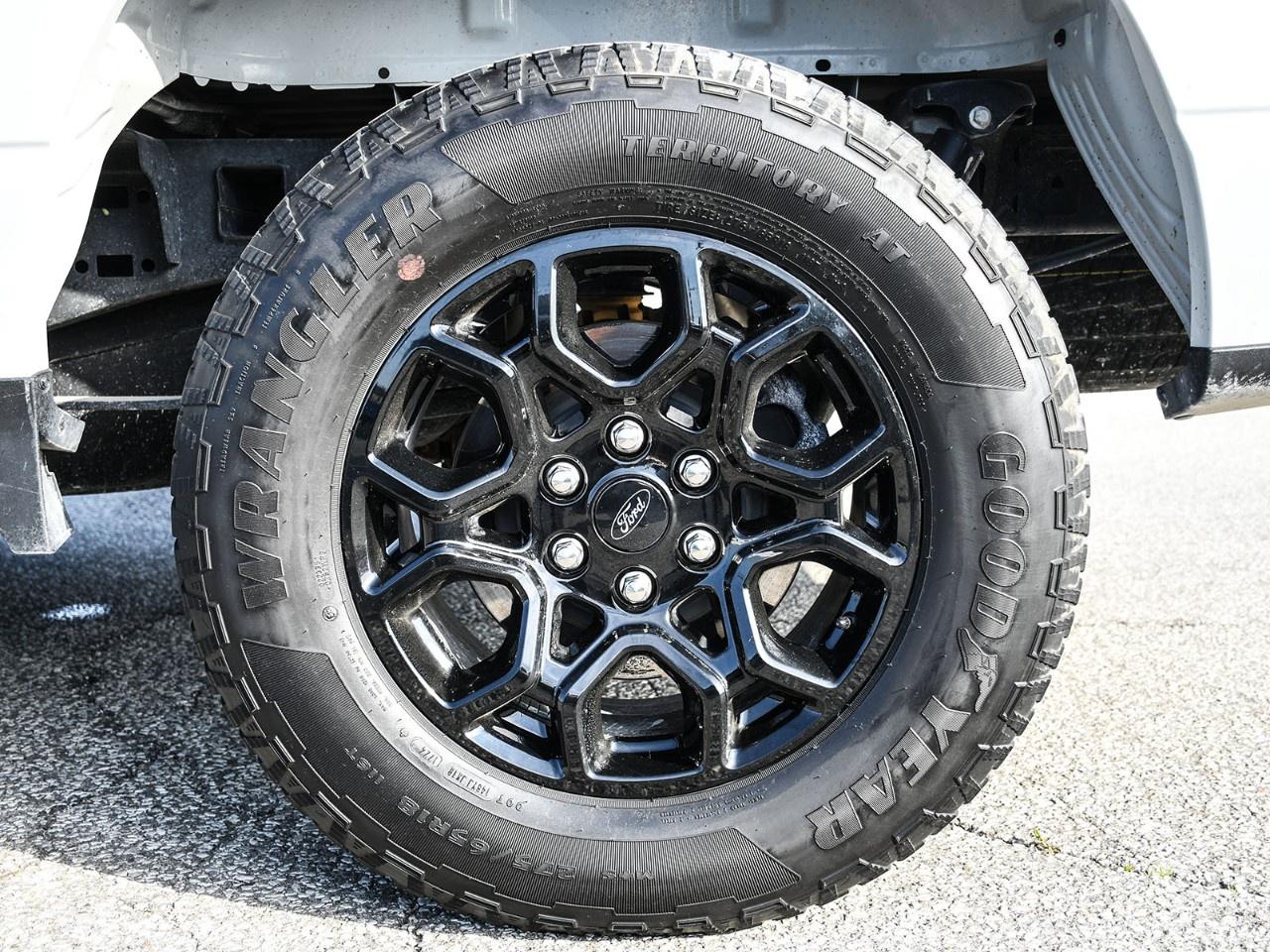 2024 Ford F-150 XLT 4WD SuperCrew 5.5' Box Photo
