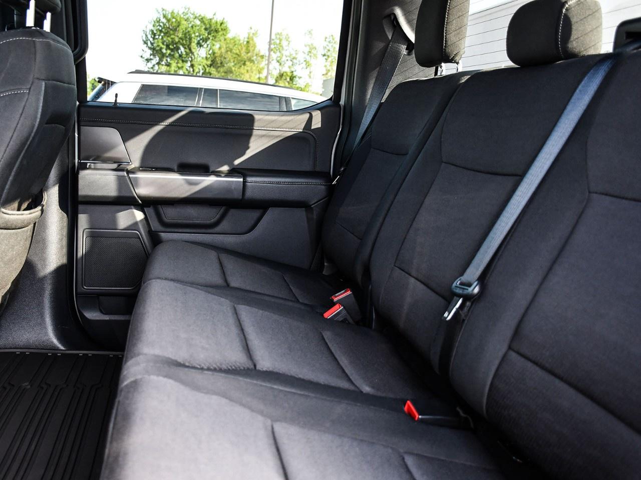 2024 Ford F-150 XLT 4WD SuperCrew 5.5' Box Photo