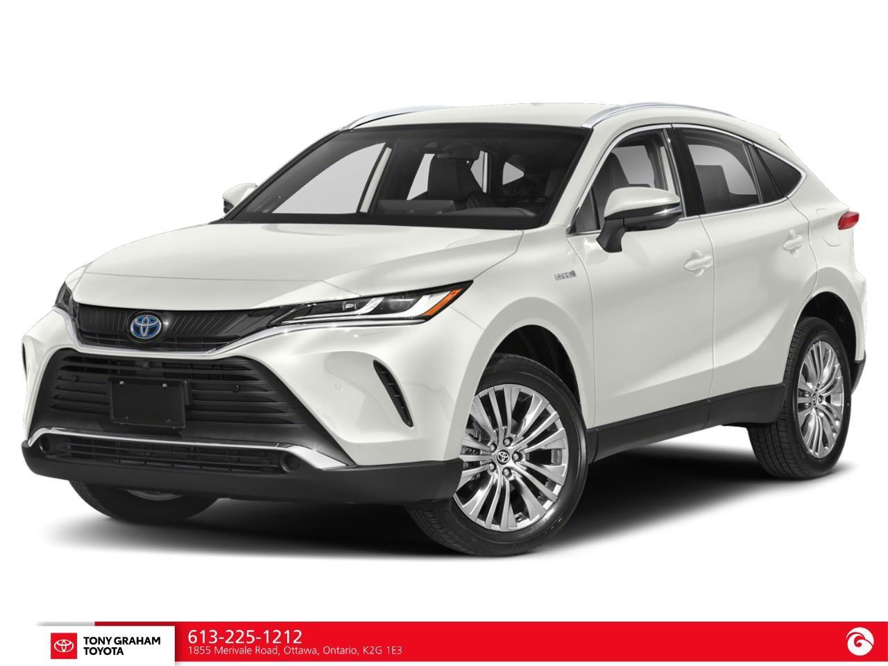 2022 Toyota Venza LIMITED Photo
