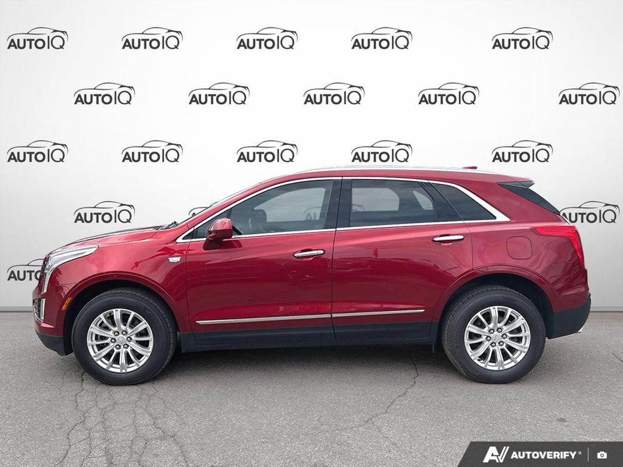 2019 Cadillac XT5 Luxury AWD | NO ACCIDENTS Photo2