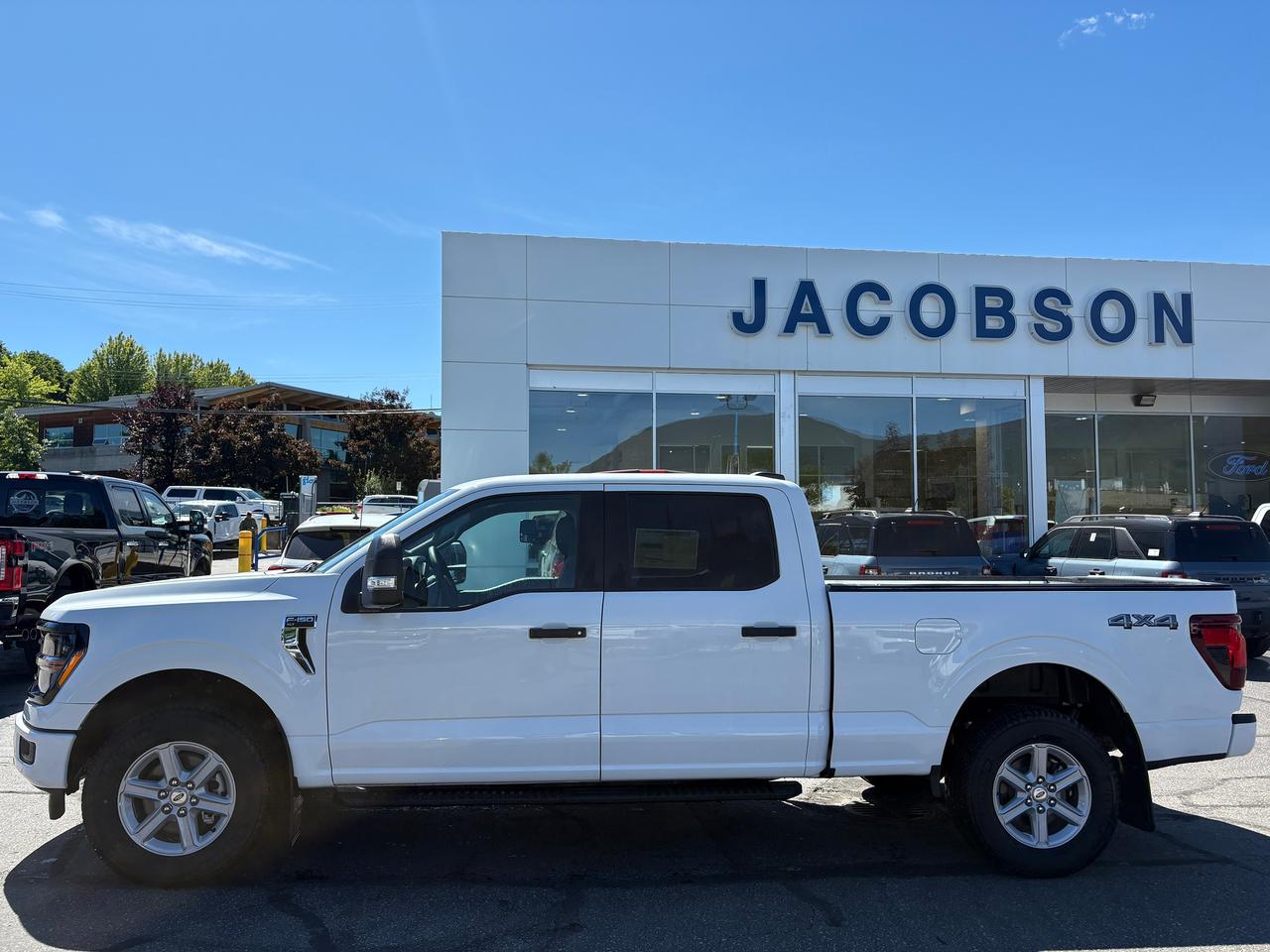 2026 Ford F-150 XLT Photo1