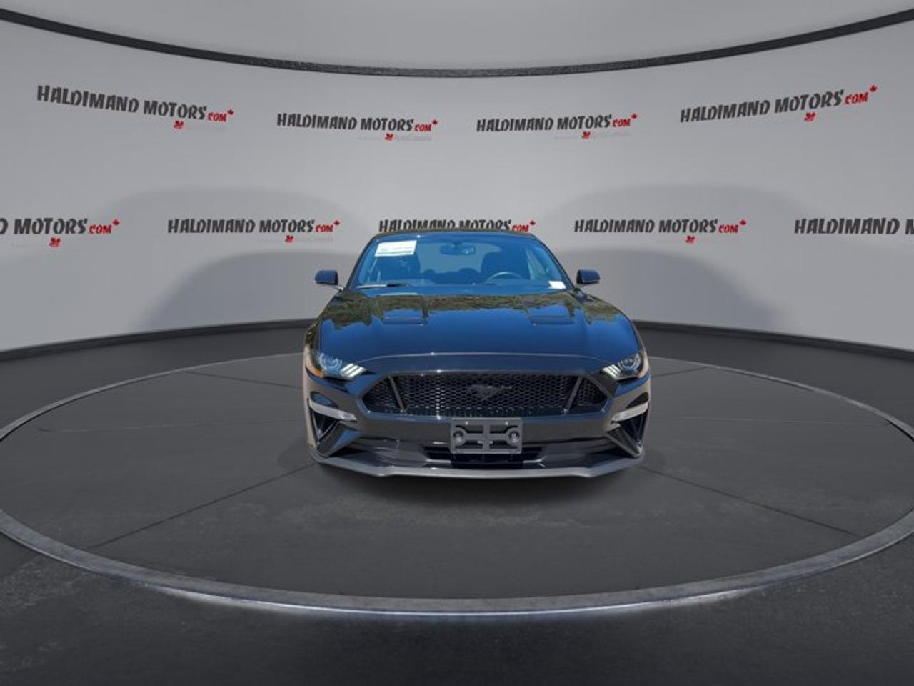 2019 Ford Mustang GT | No Accidents | Heated Steering Photo2