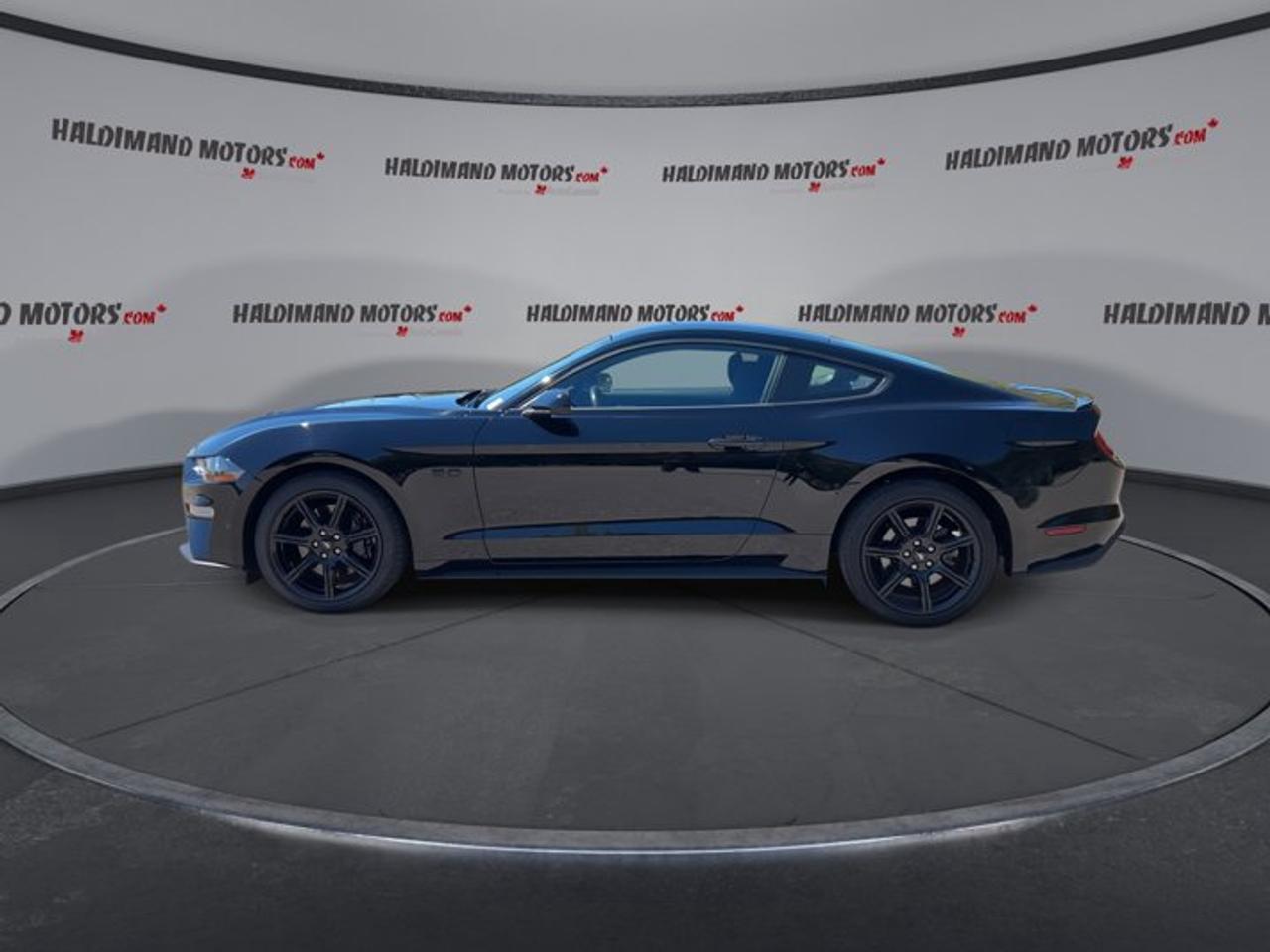 2019 Ford Mustang GT | No Accidents | Heated Steering Photo