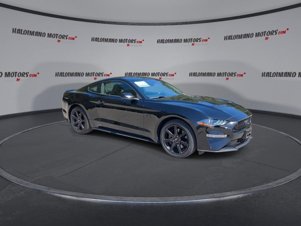2019 Ford Mustang GT | No Accidents | Heated Steering Photo