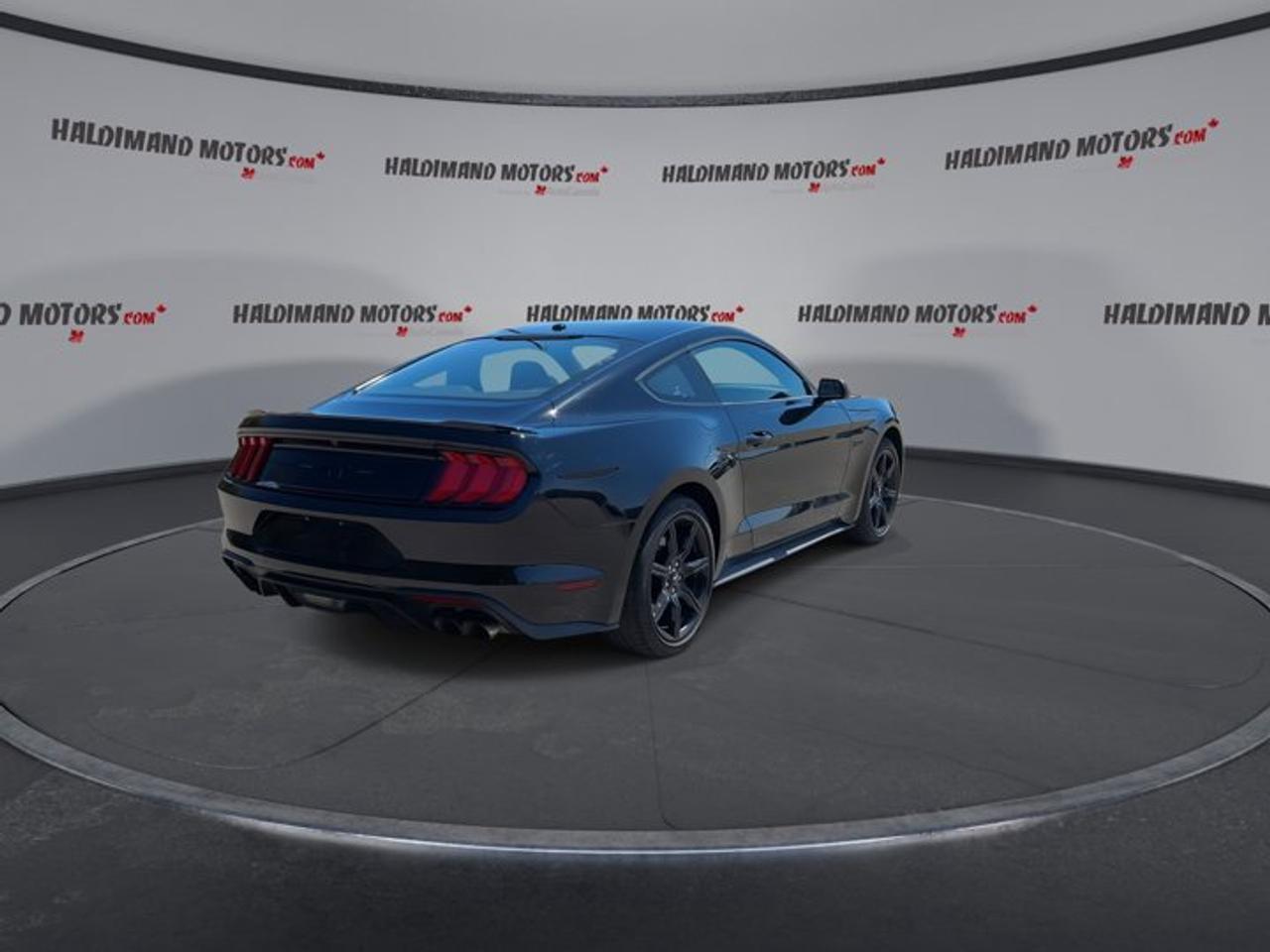 2019 Ford Mustang GT | No Accidents | Heated Steering Photo