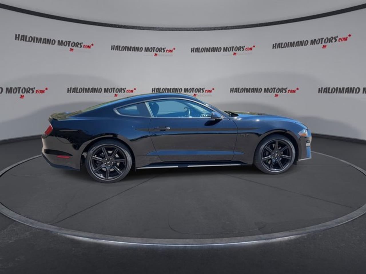 2019 Ford Mustang GT | No Accidents | Heated Steering Photo