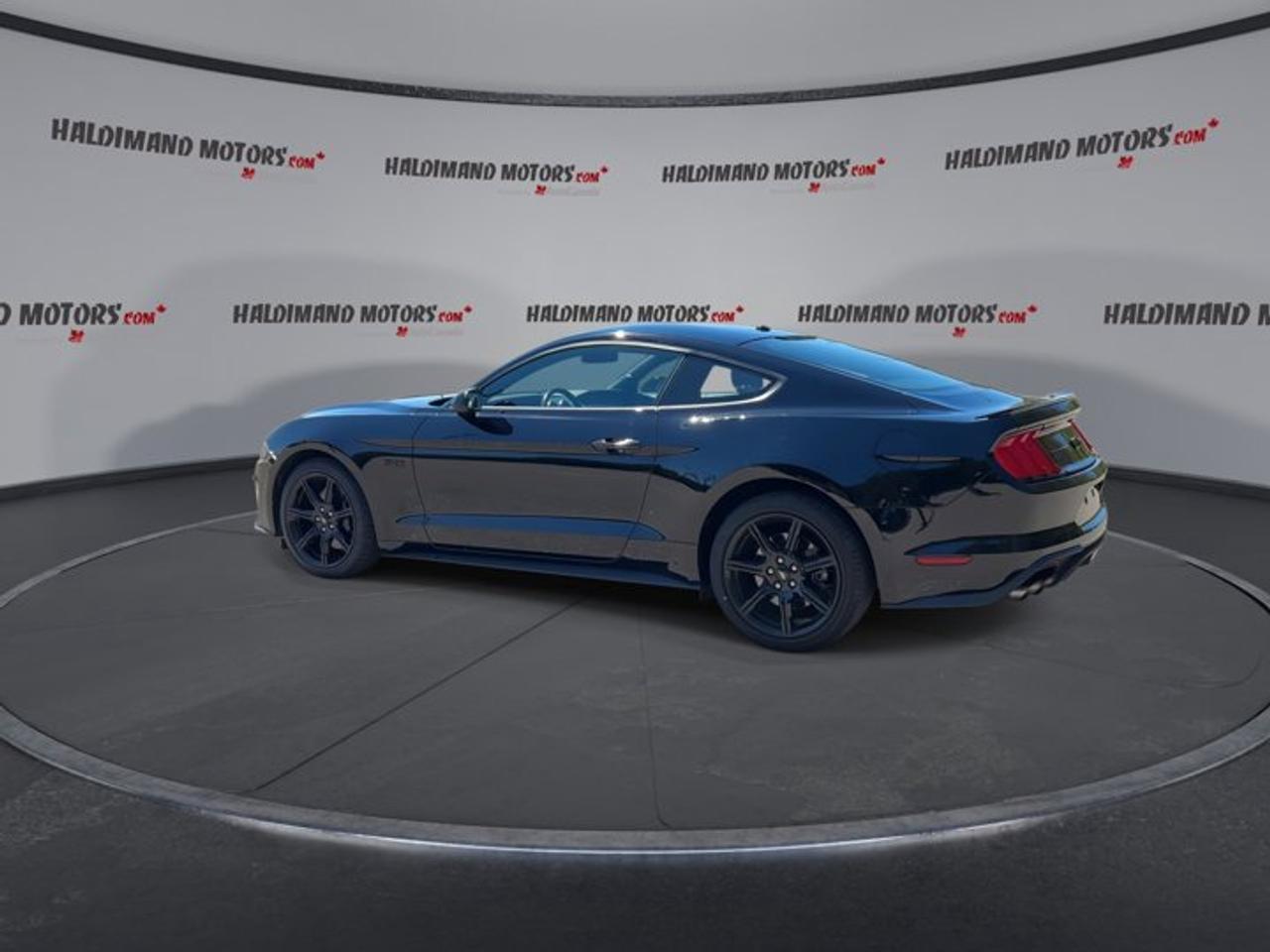 2019 Ford Mustang GT | No Accidents | Heated Steering Photo