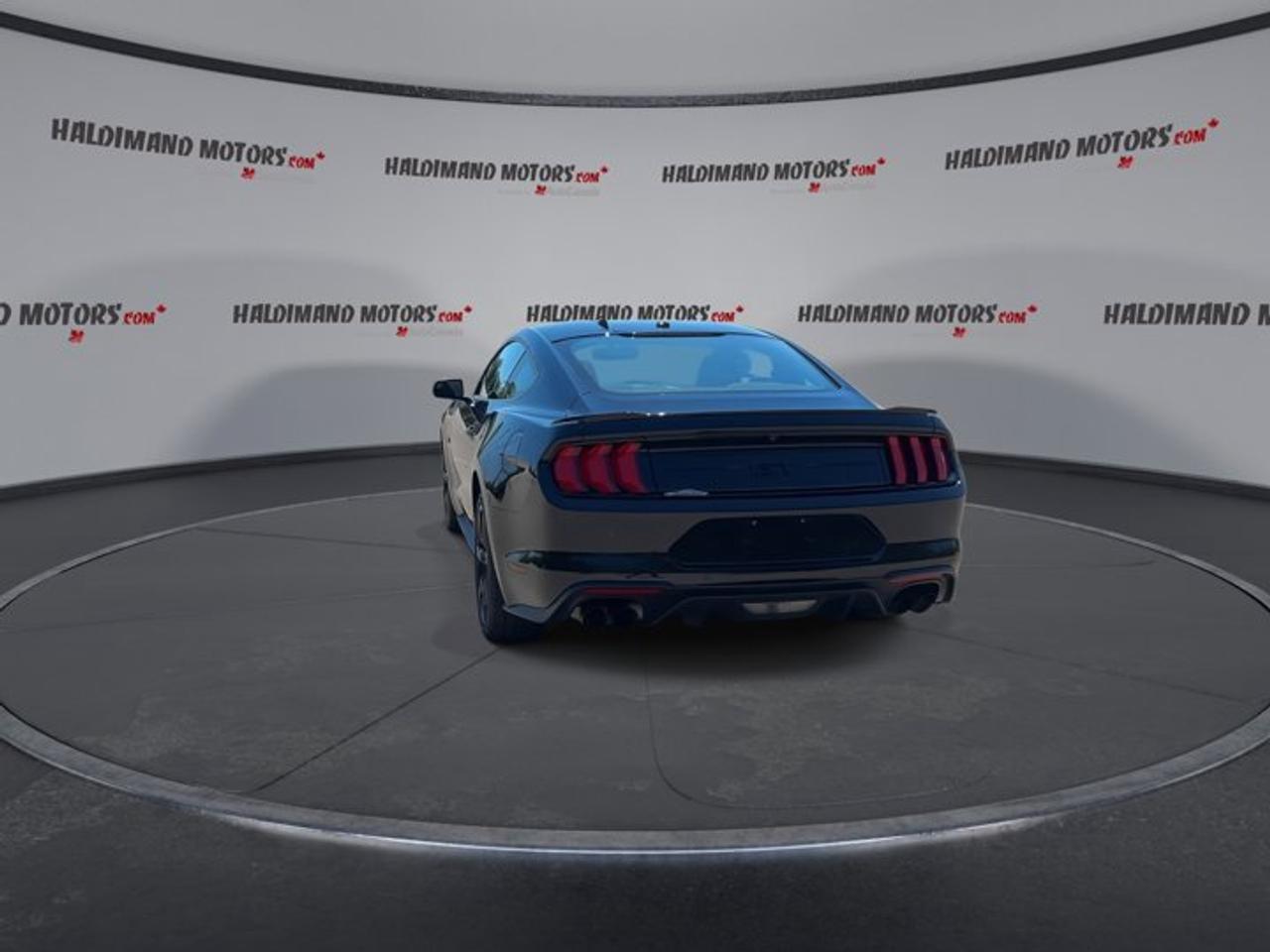 2019 Ford Mustang GT | No Accidents | Heated Steering Photo