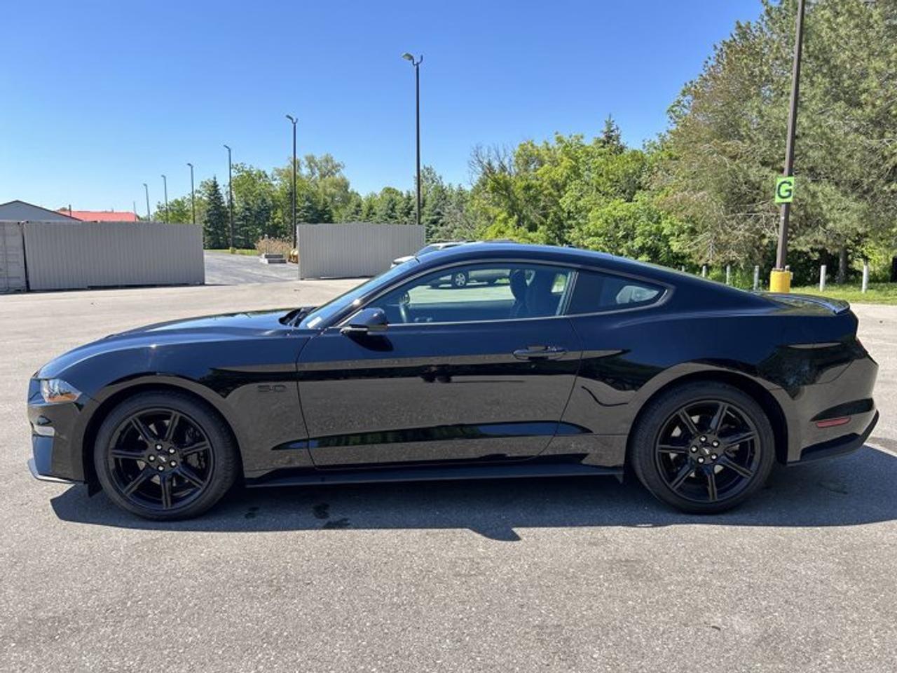 2019 Ford Mustang GT | No Accidents | Heated Steering Photo